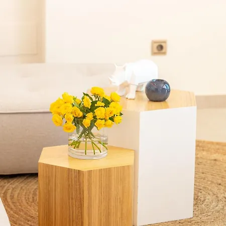 Apartment Higueron Club